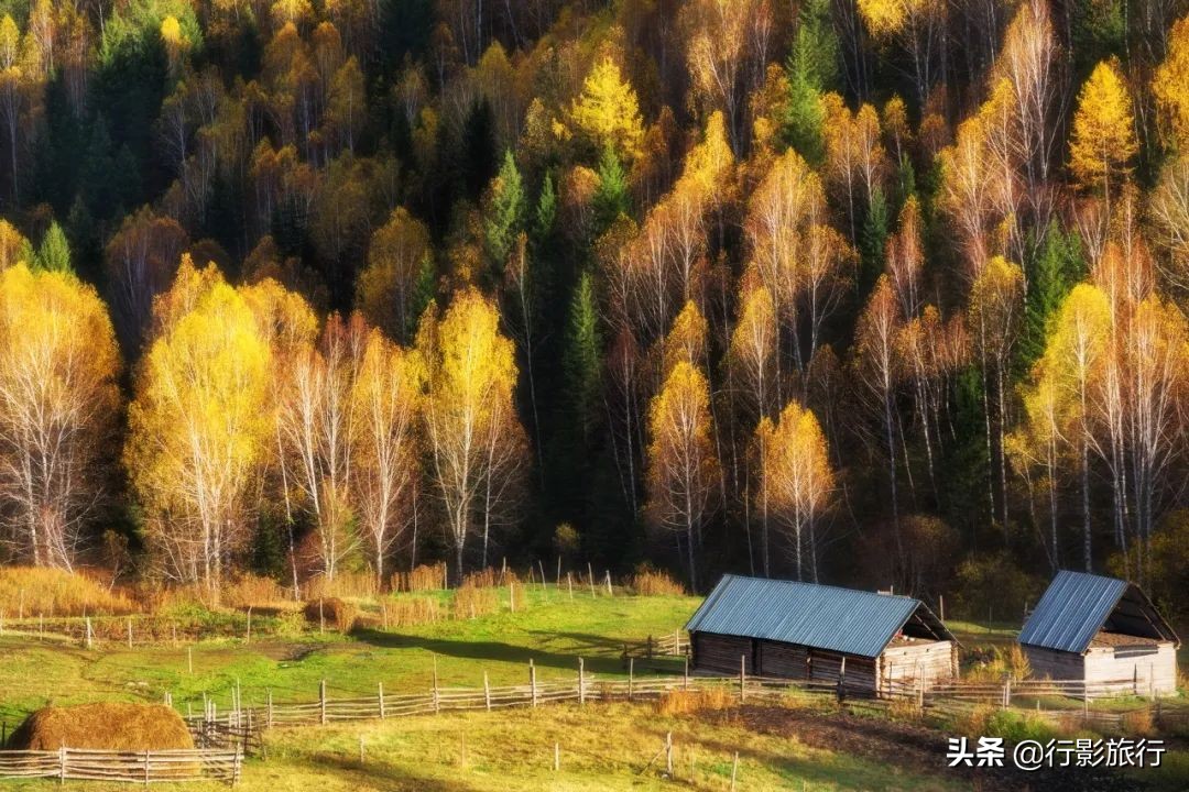 国内最美的适合秋天去的6个地方，你去过几个？