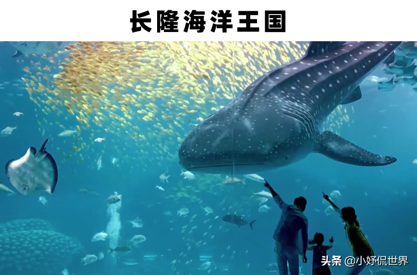 世界上存在着的11个巨大而神奇的水族馆