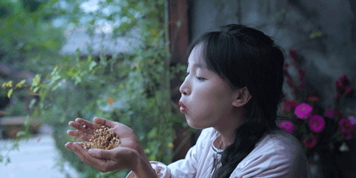 时间有点忒快了，又是一年忙秋收的季节