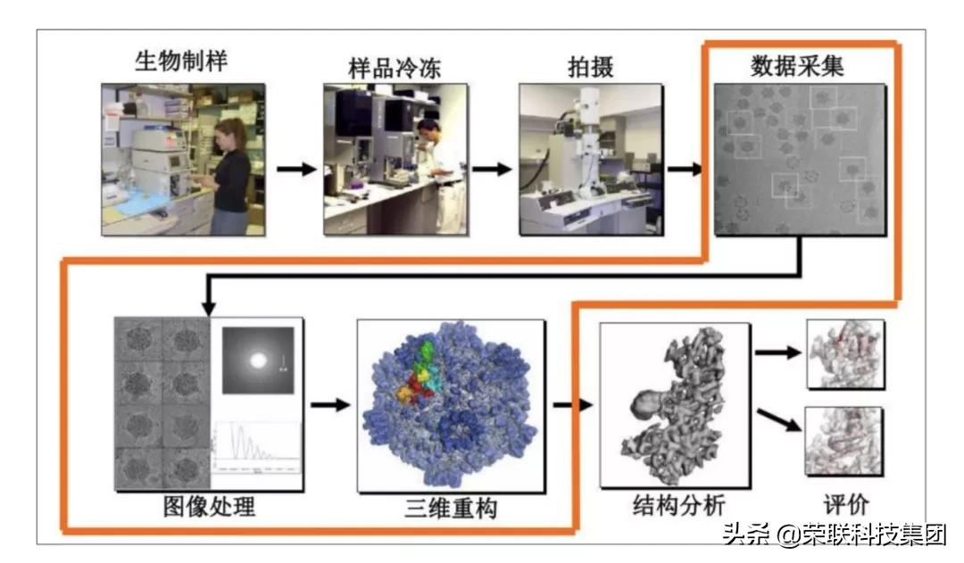 支撑科研创新,荣联助力西湖大学冷冻电镜数据分析平台建设