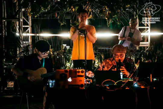 2020海南草莓音乐节完美收官超6万乐迷齐聚12公里纯美海岸