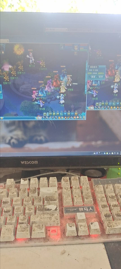 梦幻西游：毅力帝蜗居1平米空间打梦幻，键盘用到包浆不舍得换