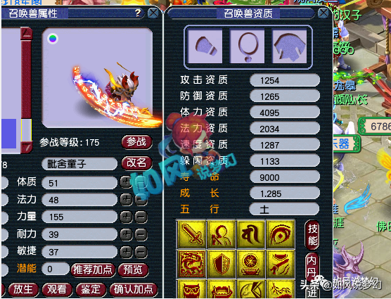 梦幻西游：涛哥自号珍宝阁物价局长，将用129第一5开报名群雄