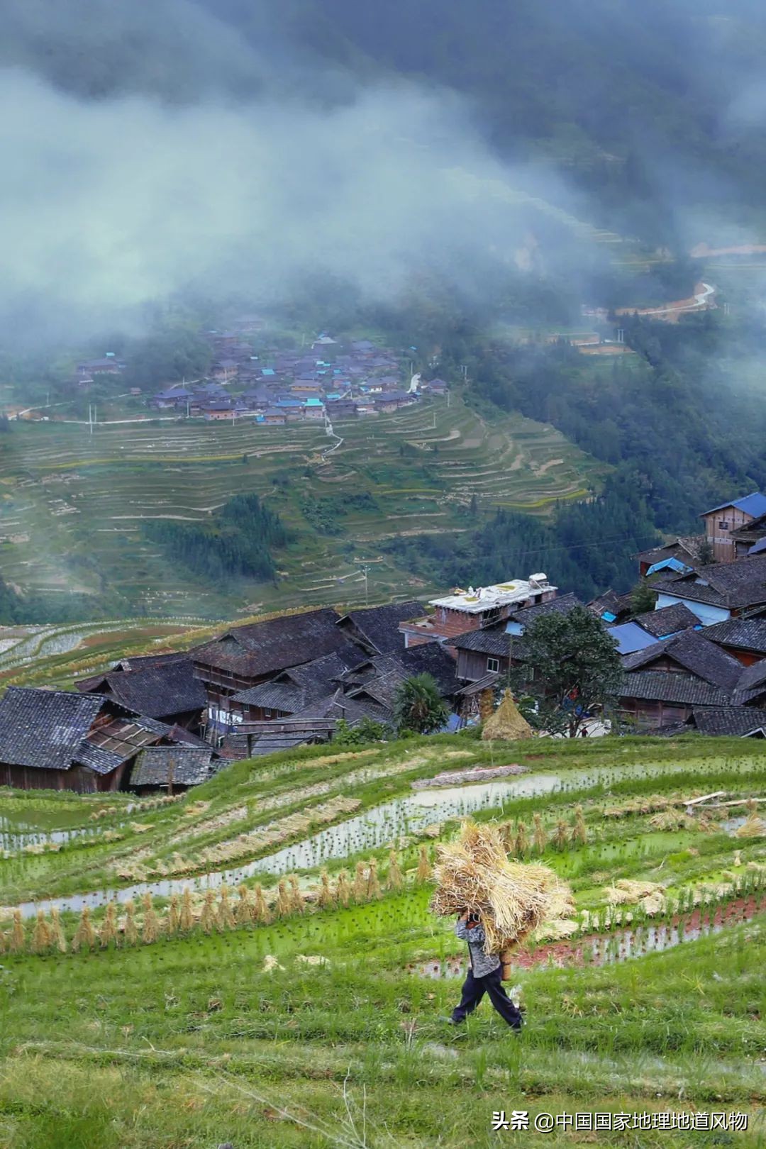 山东、河南、江苏、黑龙江…谁才是中国第一粮仓？