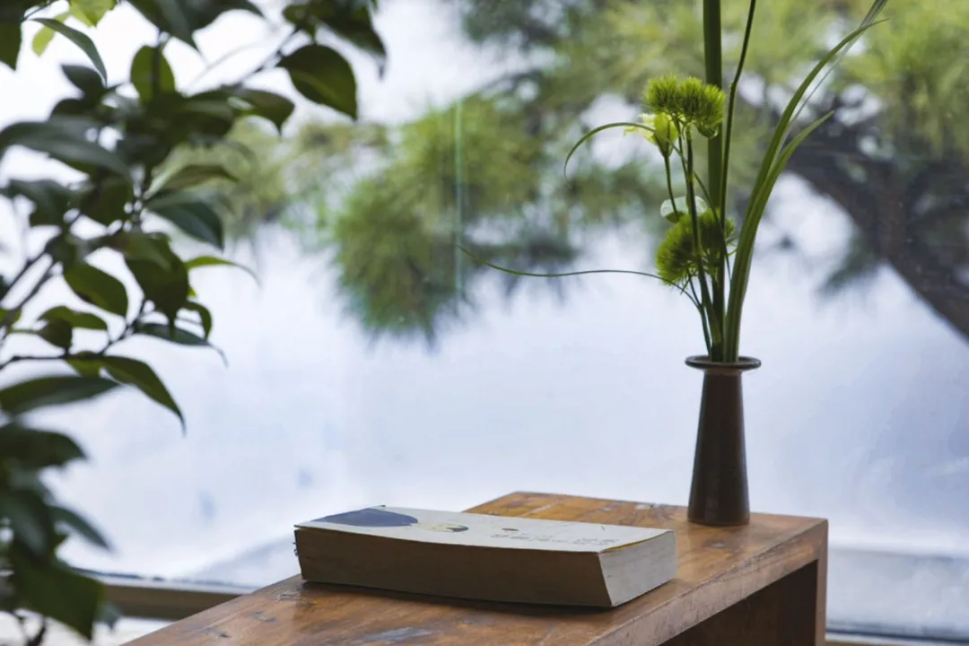 10个女友抱团进山，造出京郊一片超美野地