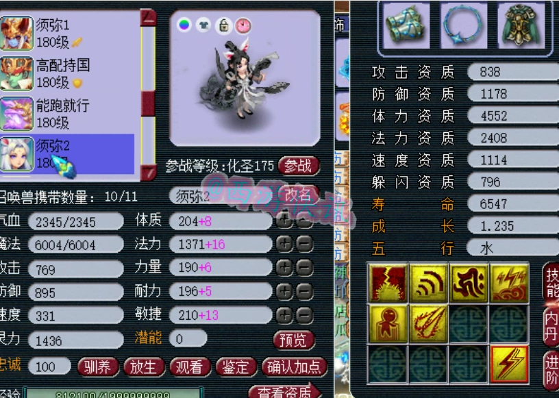 梦幻西游：顶级帮战华山方寸展示，拥有多只个性谛听以及双特殊