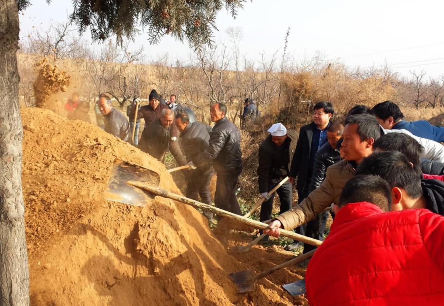 北大教授称火葬不科学，建议尽快废除恢复土葬