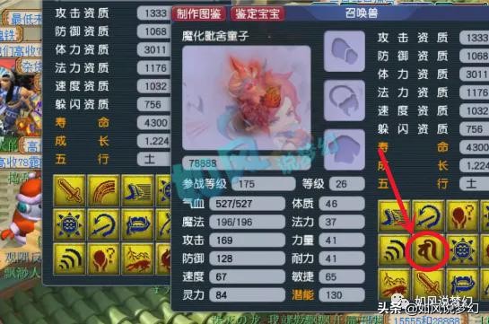 梦幻西游：第1狮驼杨洋颠覆2狗认知，梧桐成阻止渔岛更新的那个人