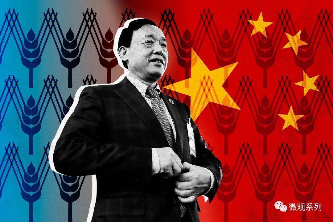 突围，中国在联合国的影响力快速提升