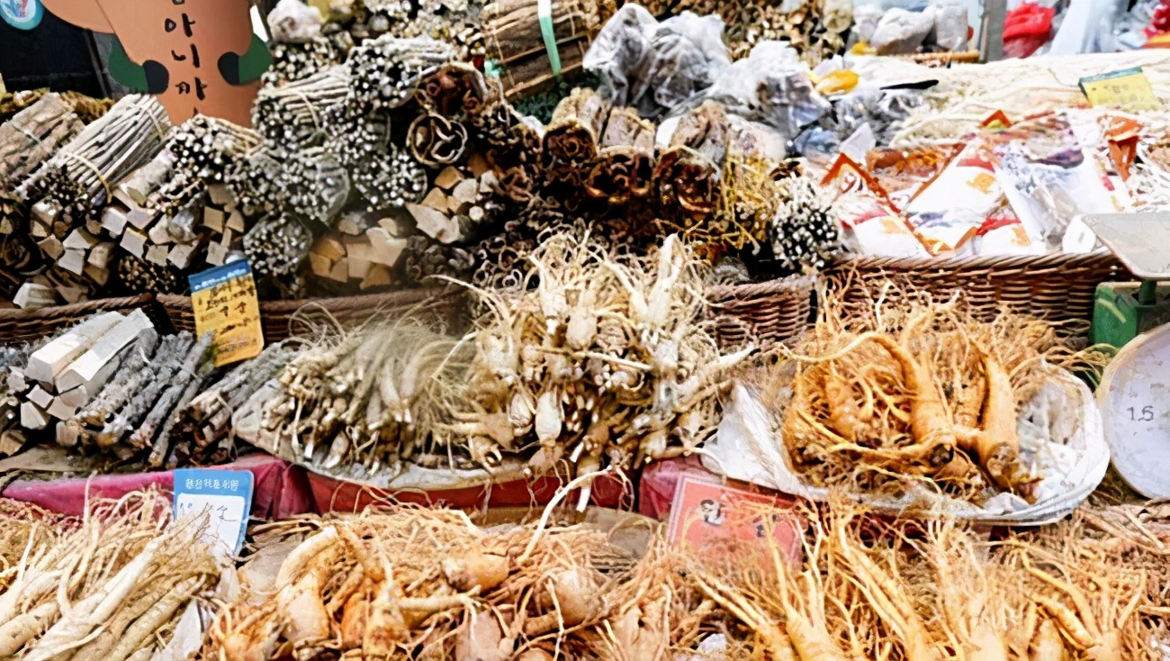 中国人参产量第一，价格只有韩国高丽参的1/10