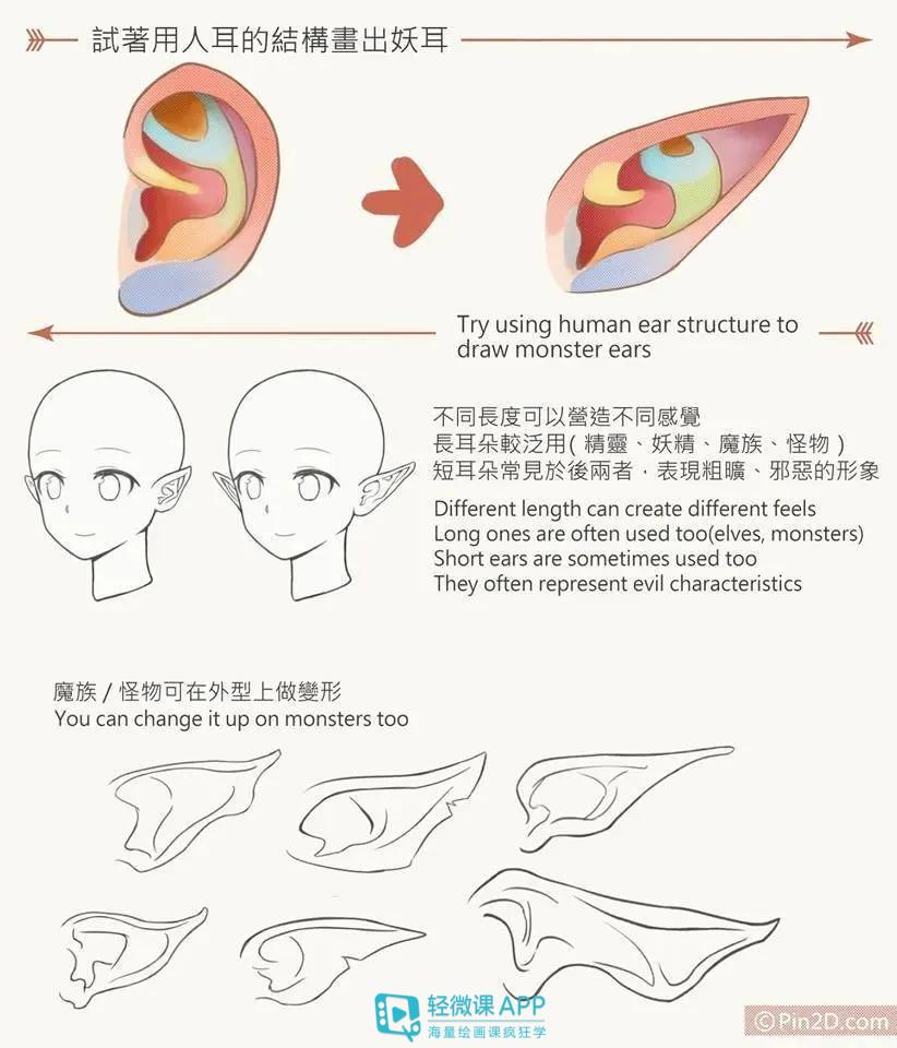 动漫人物的耳朵怎么画?人体耳朵画法教程