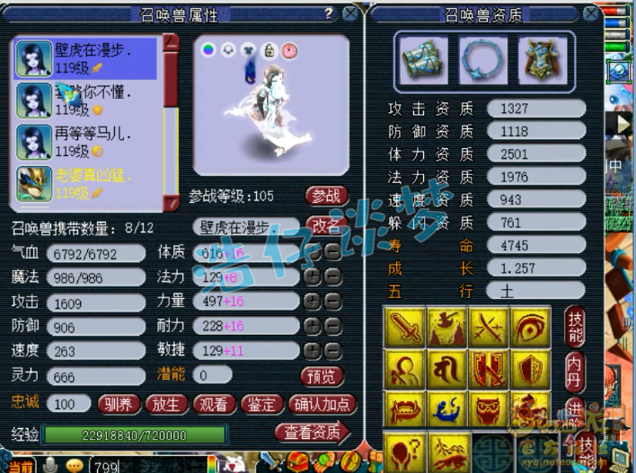 梦幻西游：王谢2000万法系的队友，带全服第一画魂，没第2只