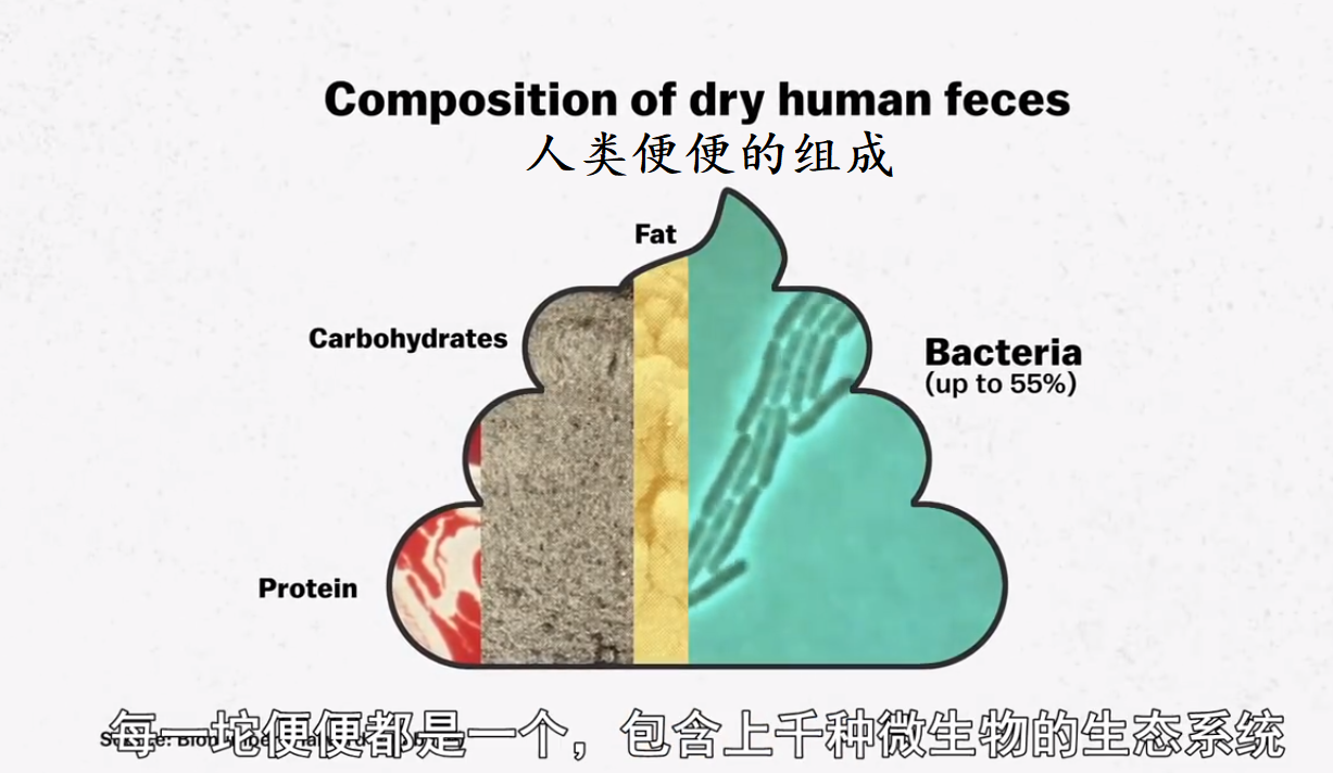 50年前美国在月球上留下了96袋便便，该取回来了