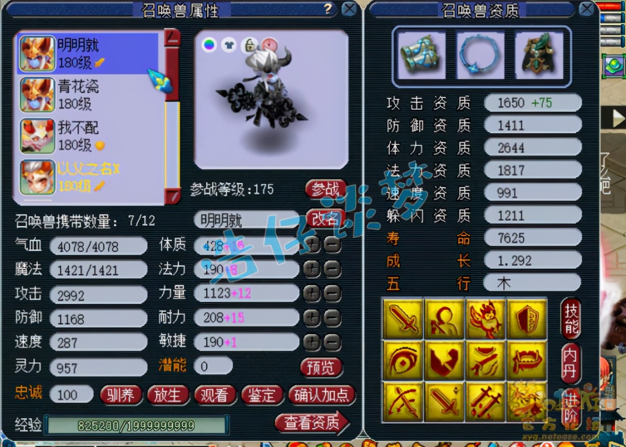 梦幻西游：造价百万175服战咒师普陀，6特技+6固伤，全服都罕见