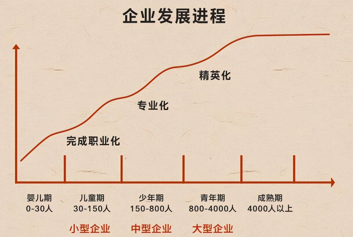 中国企业的平均寿命小微企业如何保持战略定力