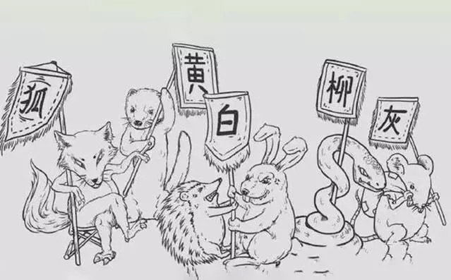 老人常说黄鼠狼不能杀，有何科学依据？李时珍怎么说