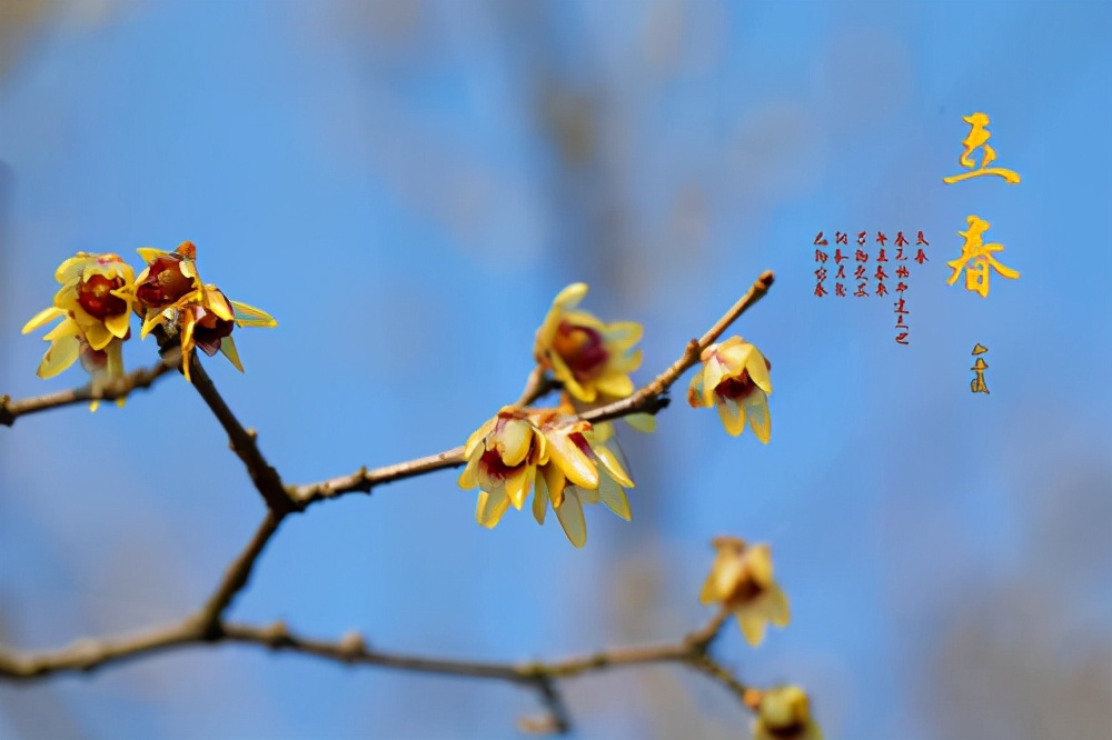 今日立春在农村有什么讲究和禁忌?要注意哪些方面?