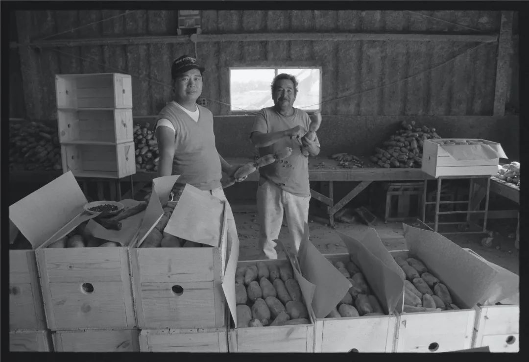 在国外生活的底层华人：他们都算不上活着