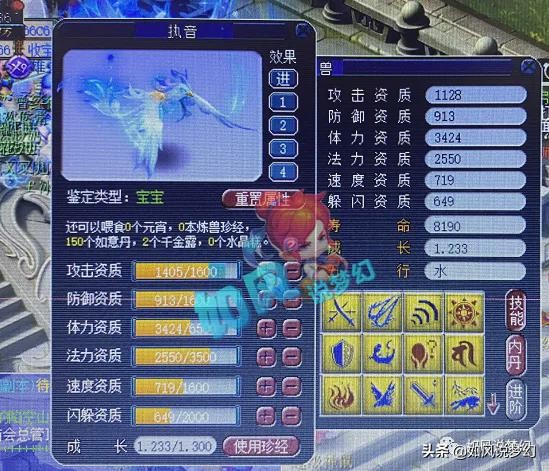 梦幻西游：主播阿金向粉丝下跪道歉，猪圈等10大指挥打上海冠军杯