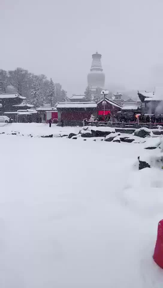 西口情 - 西瓜视频