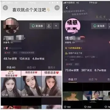 抖音搜索流量变现方法 迪士尼流量变现方法