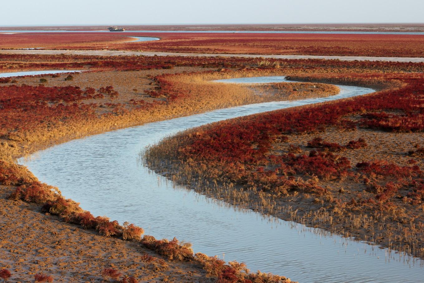 东营市现代农业示范区 黄河入海 我们回家 致敬白衣天使