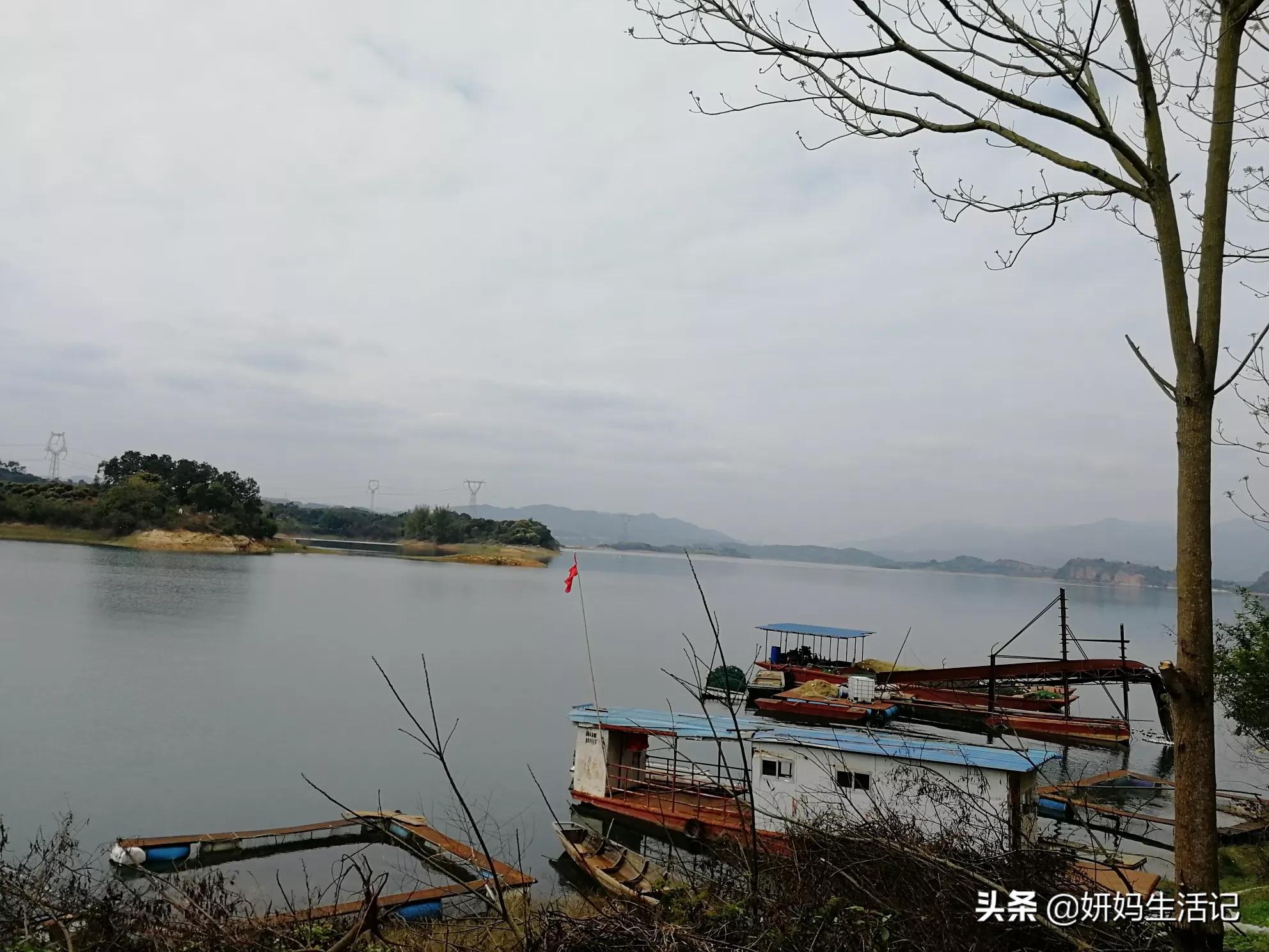 逛了一圈百色澄碧湖景区，现在有很大变化哦 百色,澄碧,澄碧湖,碧湖,湖景