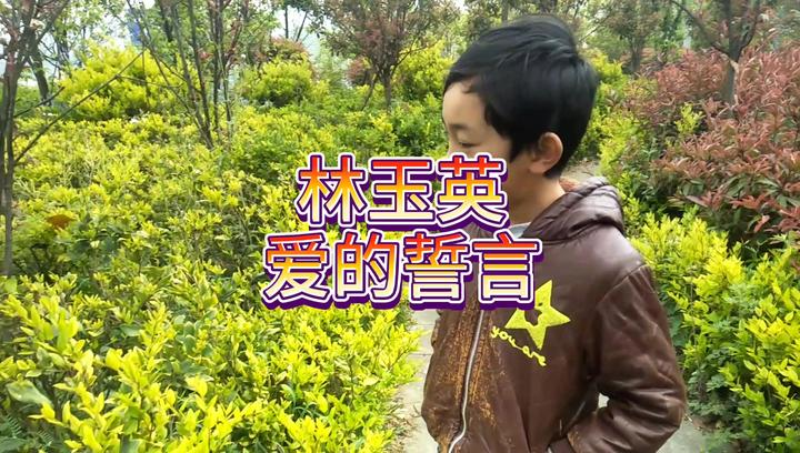 林玉英一首经典老歌爱的誓言好听醉了607080后的都喜欢听
