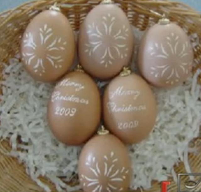 外国人为什么喜欢收藏中国的蛋壳？