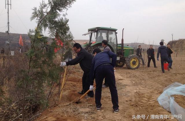 澄城县王庄镇积极开展义务植树活动