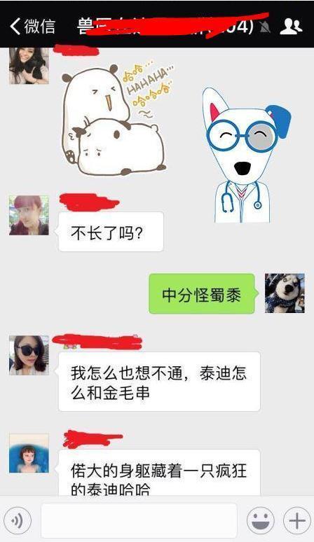 真泰迪与假泰迪的区别