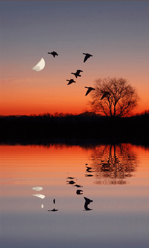 形容晚霞很美的古诗-如梦令《晚霞》 - 励志人生