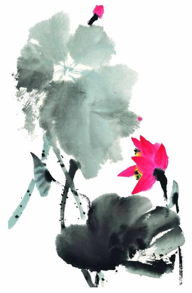 国画大赏水墨荷花古风古韵