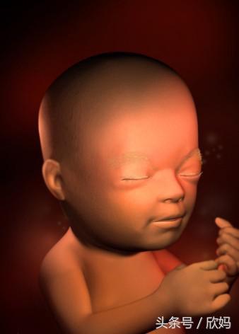 妈妈怀胎十月，胎儿1-40周的发育过程图