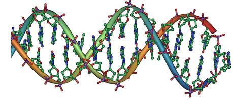 三篇Nature研究揭示DNA修复过程参与癌症产生