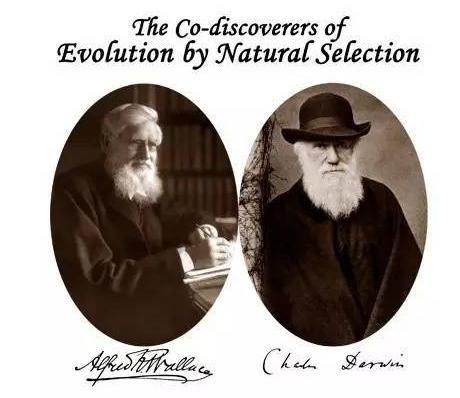 发明生物演化论的达尔文，也许是科学史上的一个异数！