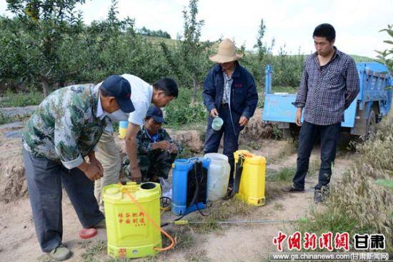 甘肃清水县冰雹灾害经济损失过亿 村民开展生产自救