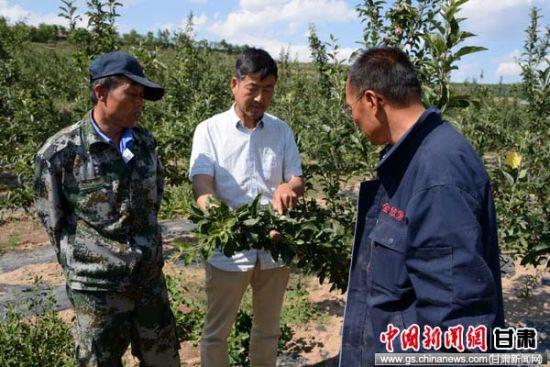 甘肃清水县冰雹灾害经济损失过亿 村民开展生产自救