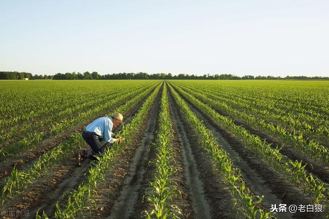 氮肥涨价，化肥储备增加！未来农业将要发生4大变化