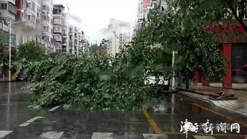 台风“莫兰蒂”造成我市多处受灾受损，因灾造成经济总损失4965.6万元。