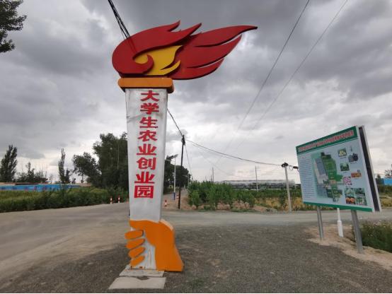 武威市民勤县：让返乡大学生在创业园里圆梦
