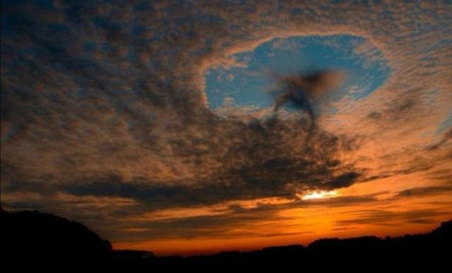 �ƶ������