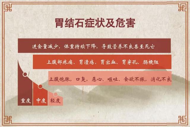 山楂开胃，柿子美味，但都容易引起胃结石！中医药方与按摩方子教你保守治疗
