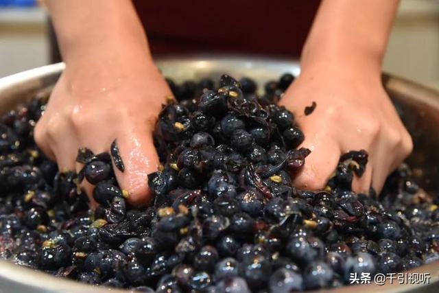 北京延庆好去处：春日农场任大叔家的葡萄熟了