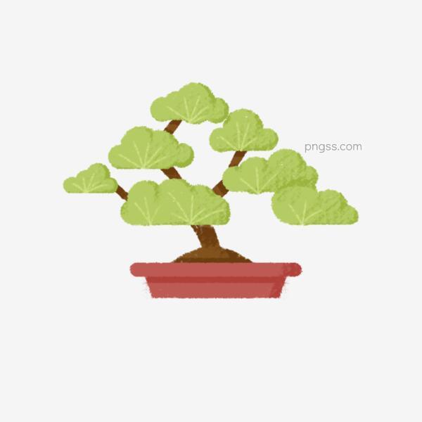 可爱卡通手绘松树盆栽png素材png搜索网 精选免抠素材 透明png图片分享下载 Pngss Com