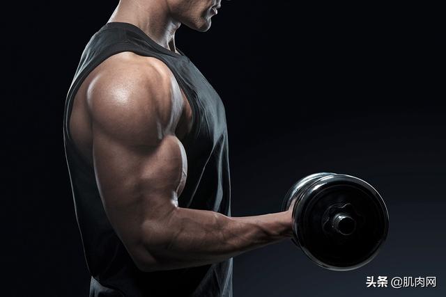 當臂圍達到40厘米以上，是種什麼體驗？在肌肉男中屬於什麼水平？