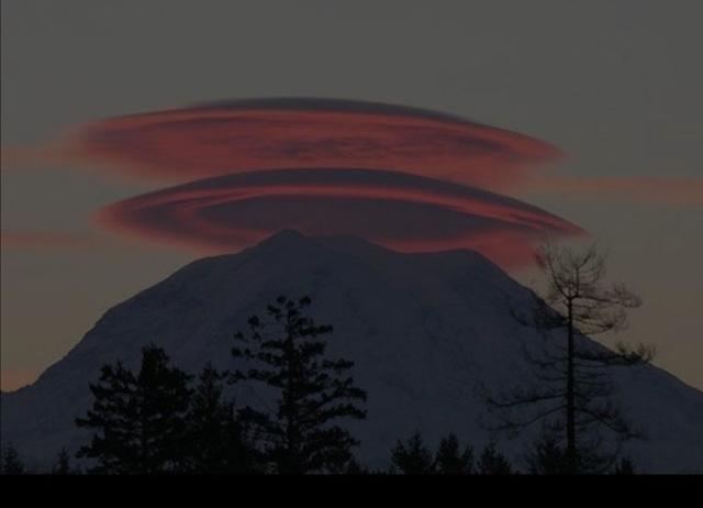 �ƶ������