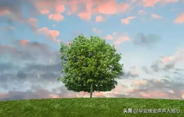 今日植树节,祝福送上! - 云林新闻励志网