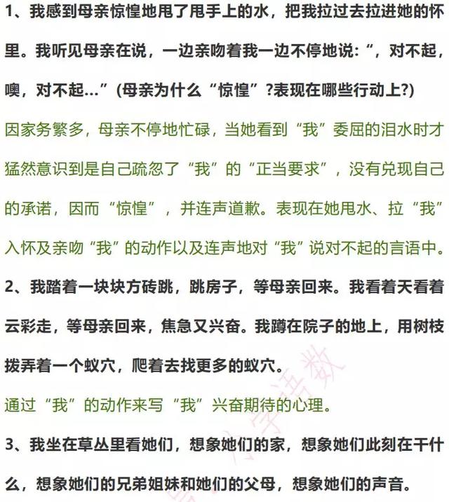 那个星期天课文主题与课后习题答案