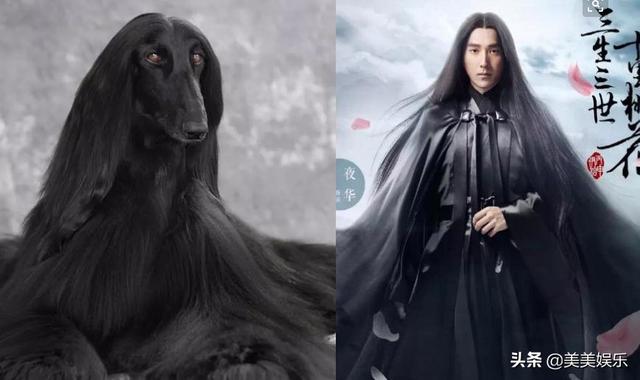 在线自夸？学员撞脸导师霸占热搜，他们竟这么